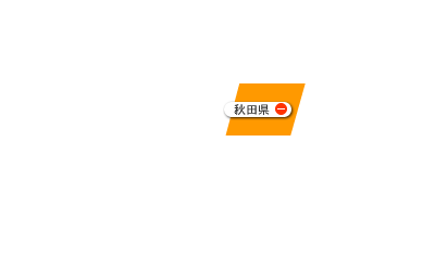 Akita_ov